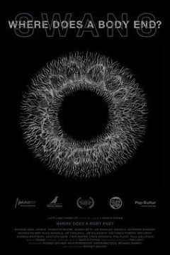 尸体在何处终结？