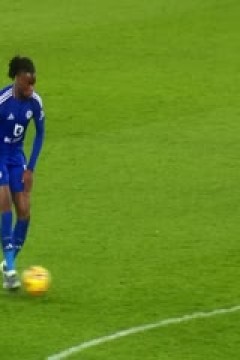 英超联赛 布莱顿VS水晶宫 20241215