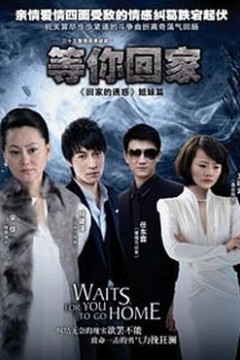 等你回家2013