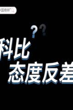 英超联赛 阿斯顿维拉VS曼城 20241221