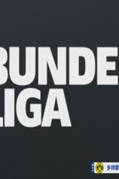 德甲联赛 多特蒙德VS奥格斯堡 20250308