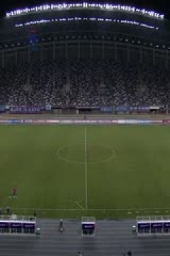 足协杯 石家庄功夫VS青岛西海岸 20240622