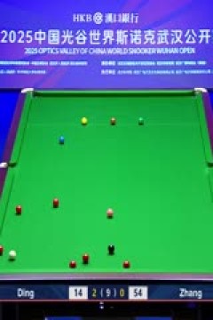 2025斯诺克武汉公开赛延期资格赛及64进32丁俊晖5-1张浩(朱蒙)20250824