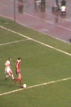 德甲联赛 海登海姆VS奥格斯堡 20240901