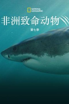 非洲致命动物第七季