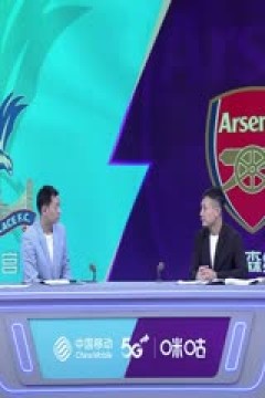 英超 水晶宫vs阿森纳 (颜强、徐阳) 20230821