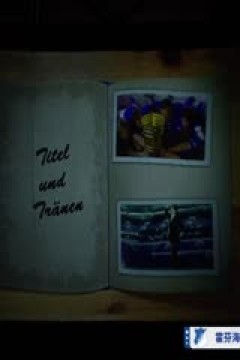 德甲联赛 霍芬海姆VS多特蒙德 20250426