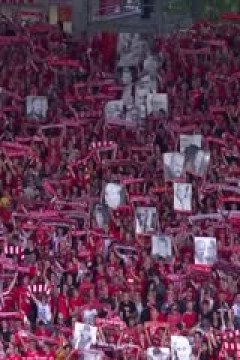 德甲联赛 斯图加特VS圣保利 20241221