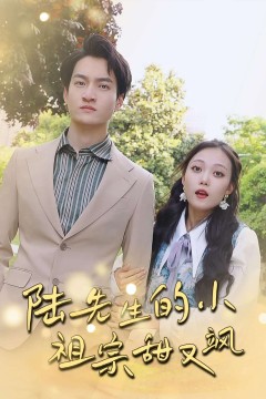 陆先生的小祖宗甜又飒