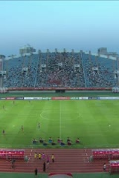 中甲联赛 延边龙鼎VS广东广州豹 20250712