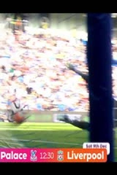 英超 布莱顿vs布伦特福德 (苗锟) 20231206