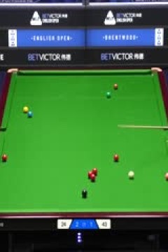 2025斯诺克英格兰公开赛16进8周跃龙4-2巴里·霍金斯(朱峰立)20250918