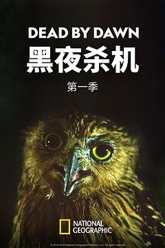 黑夜杀机第一季