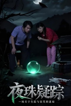 夜珠疑踪