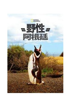 国家地理野性阿根廷