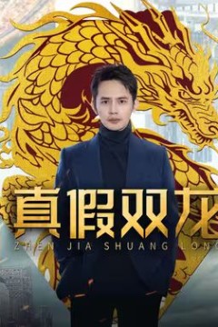 真假双龙(归龙)(冒牌赘婿)