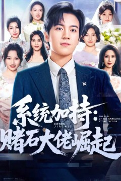 统加持：赌石大佬崛起少年赌神：从原石到顶流