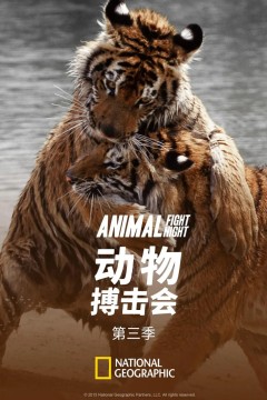 动物搏击会第三季