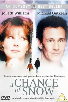 圣诞节的白雪在