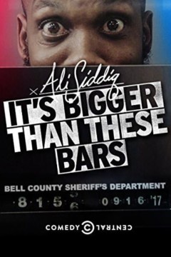 阿里·西迪克：它比这些酒吧更大