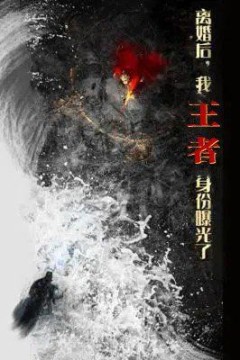 离婚后，我王者身份曝光了(离婚后我王者身份曝光了)