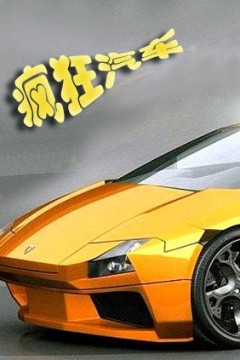 疯狂汽车