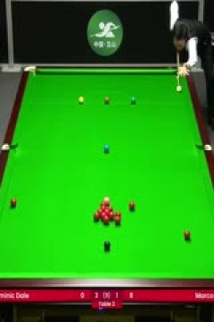 2024斯诺克世界公开赛资格赛多米尼克·戴尔5-3傅家俊20240122(李照)