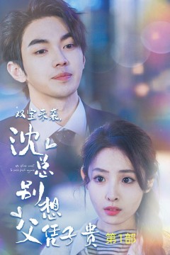 双宝来袭沈总别想父凭子贵(报告妈咪便宜爹地竟是总裁)