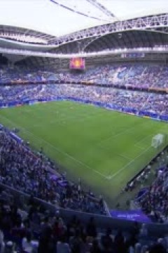 亚洲杯 韩国vs马来西亚 (洪荒) 20240125