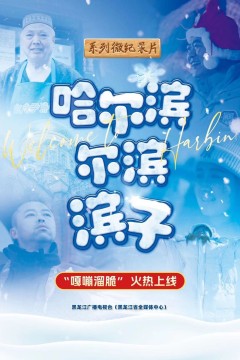 哈尔滨-尔滨-滨子