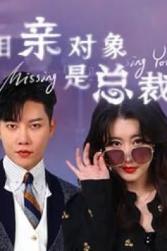 相亲对象是总裁~