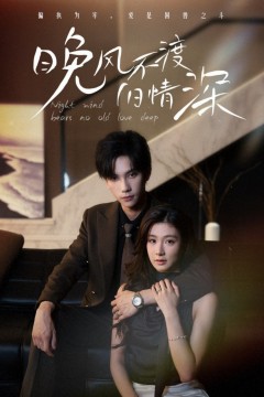 晚风不渡旧情深