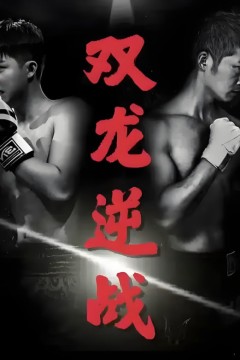 双龙逆战(拳王之父子双龙)