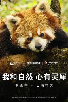我和自然心有灵犀第五季