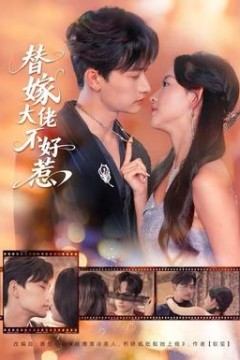 替嫁大佬不好惹