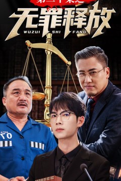 第二十条之无罪释放