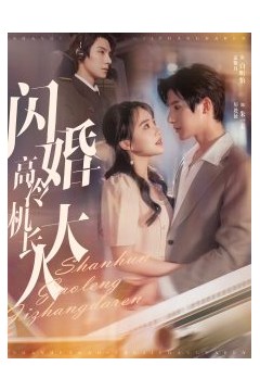 闪婚高冷机长大人