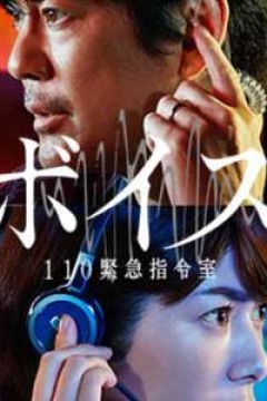 VOICE 110紧急指令室