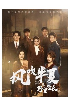 风吹半夏之野蛮生长