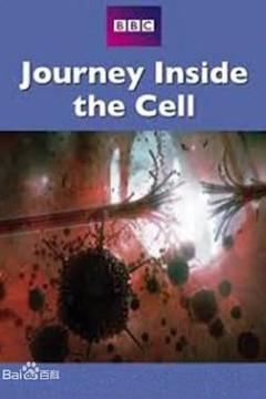 神秘旅行：细胞内部之旅