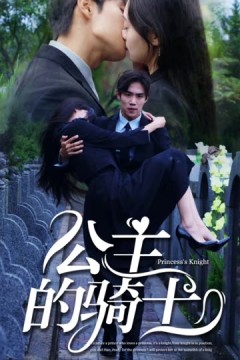 公主的骑士