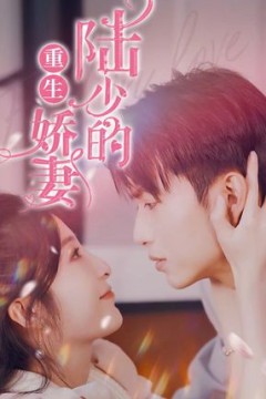 陆少的重生娇妻