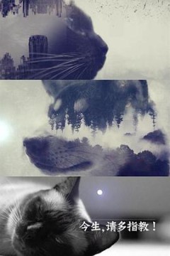 今生，请多指教