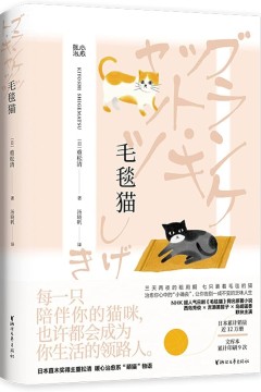 毛毯猫