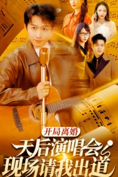 开局离婚天后演唱会现场请我出道