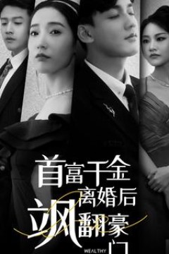 首富千金离婚后飒翻豪门