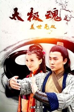 太极魂之盖世无双