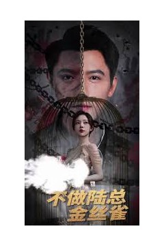 掌中玩物，不做陆总金丝雀