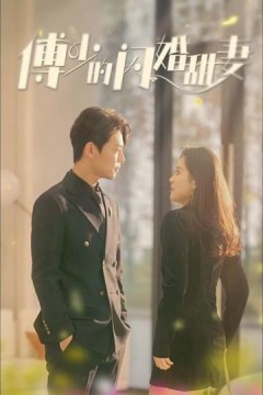 新傅少的闪婚甜妻