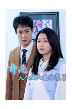 许总，夫人又人格分裂了